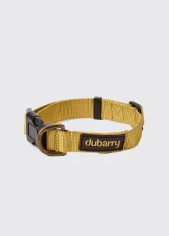 Apollo Nylon collar for dogs - Gold