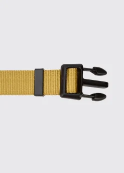 Apollo Nylon collar for dogs - Gold