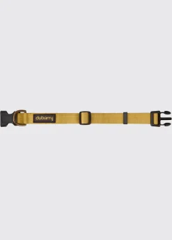 Apollo Nylon collar for dogs - Gold